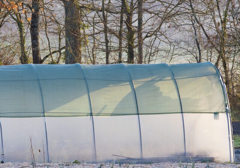 A greenhouse covered with 40% shade cloth to help plants grow faster and stay healthier