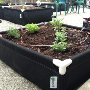 Different type of herbs flourish inside four GeoPlanter Fabric Raised Beds with different growing configurations