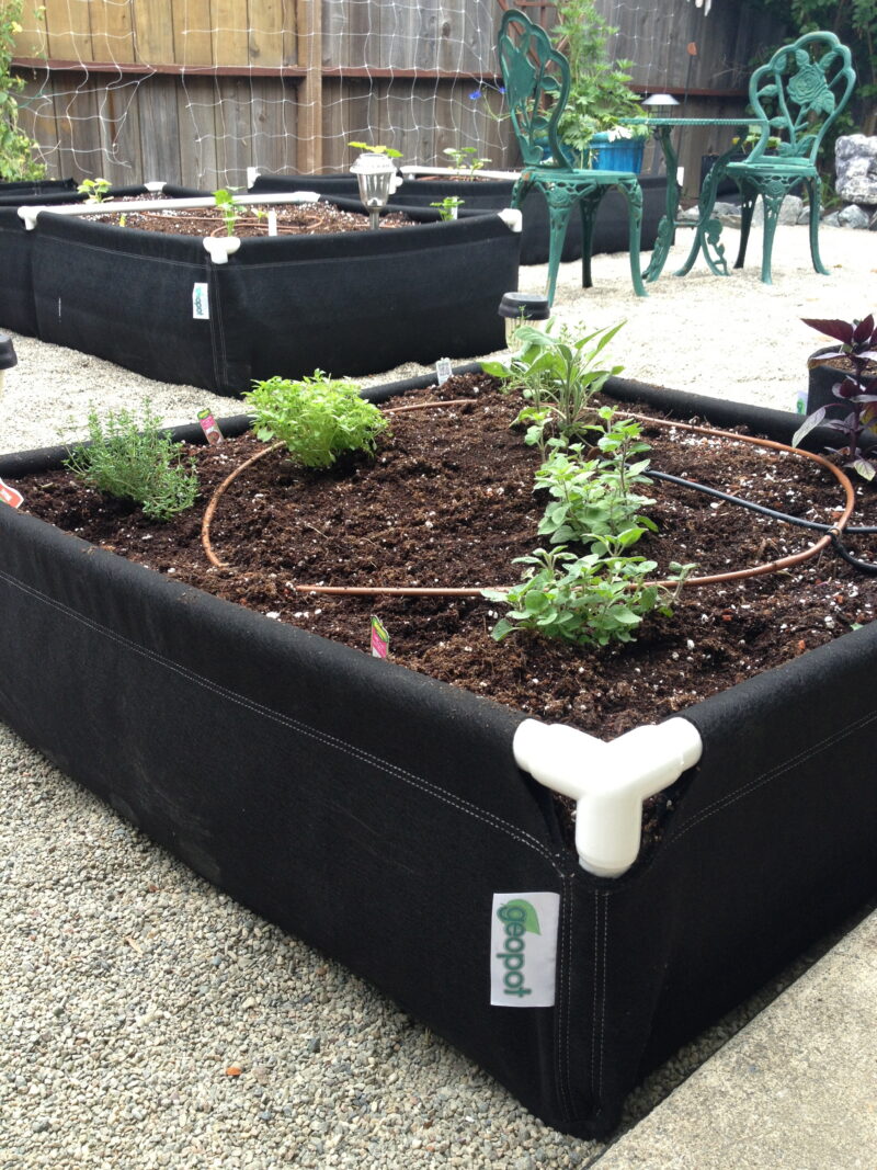 Different type of herbs flourish inside four GeoPlanter Fabric Raised Beds with different growing configurations