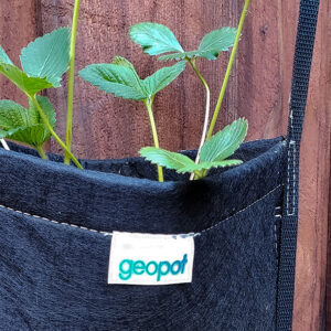 Leaves sprout from the 2-Pocket GeoPot Hanging Garden