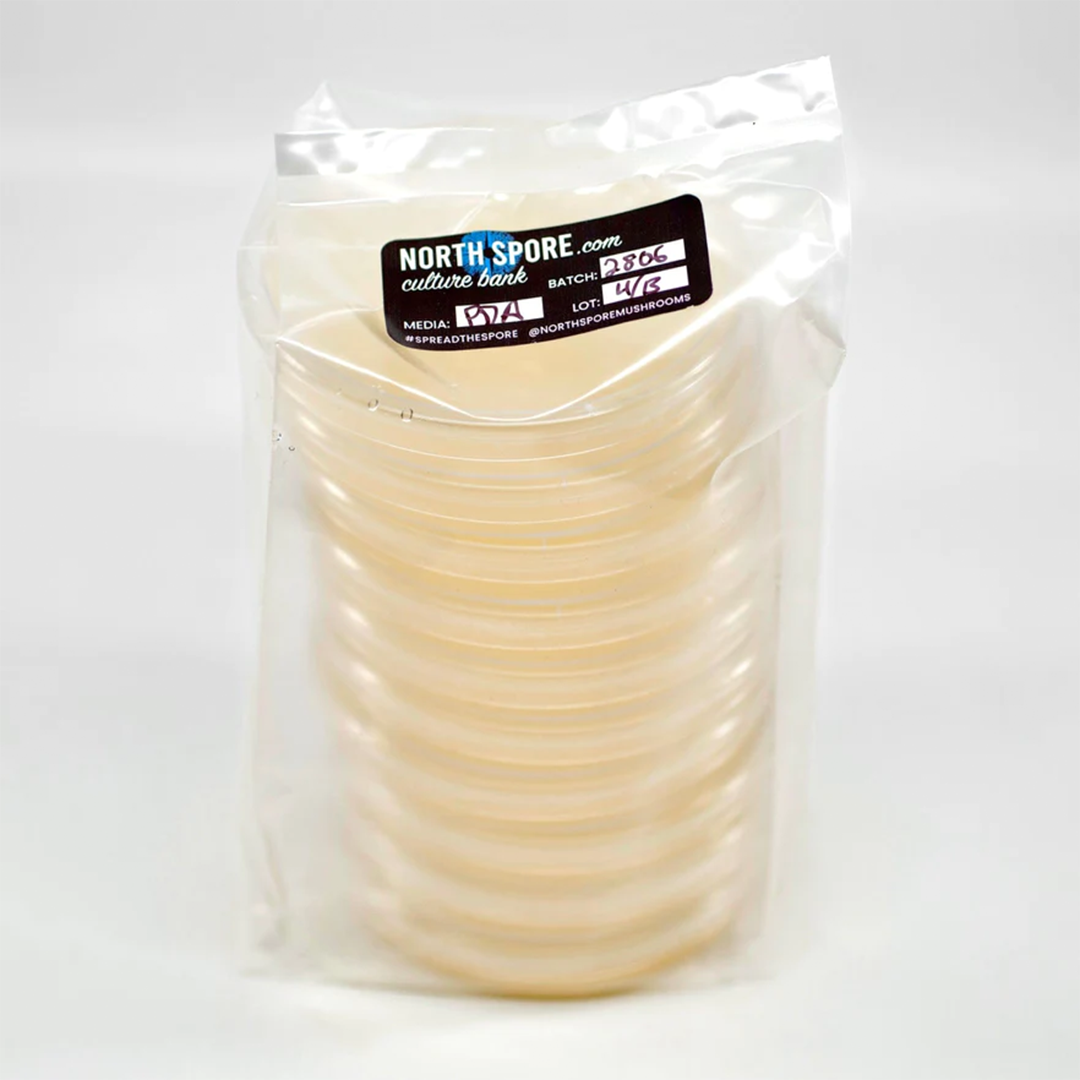 https://www.leftcoastwholesale.com/wp-content/uploads/2023/10/North-Spore-Pre-Poured-Agar-Plates-2-1.png