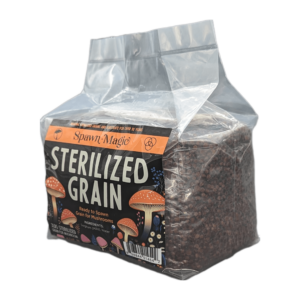Angled view of a 3-pound Spawn Magic Sterilized Grain bag, clearly showing the texture of the grain inside the transparent packaging.