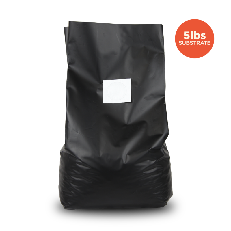 Black Sakato mushroom bag with filter patch filled with 5 pounds of substrate