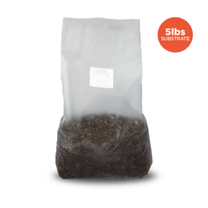 5 pound filled Opaque Sakato mushroom substrate bag with filter patch