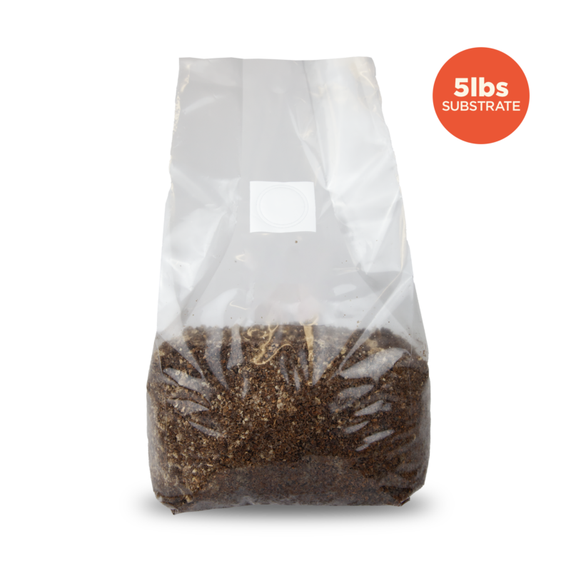 Transparent Sakato mushroom bag filled with 5 pounds substrate