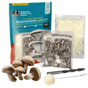 Log kit Shiitake