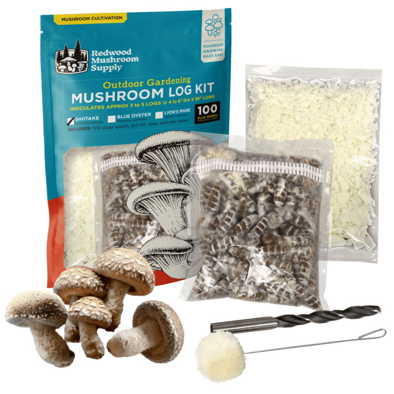 Log kit Shiitake